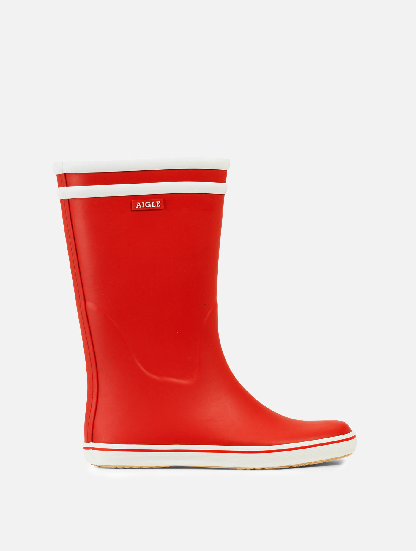 Aigle malouine 2025
