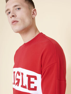Loose fit cotton fleece sweatshirt