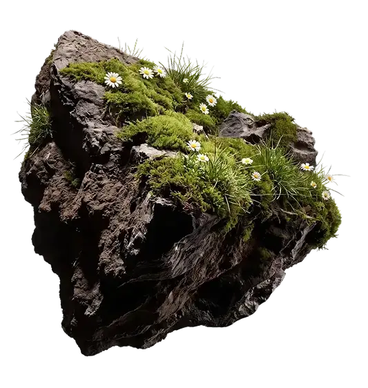 Cosmetic element