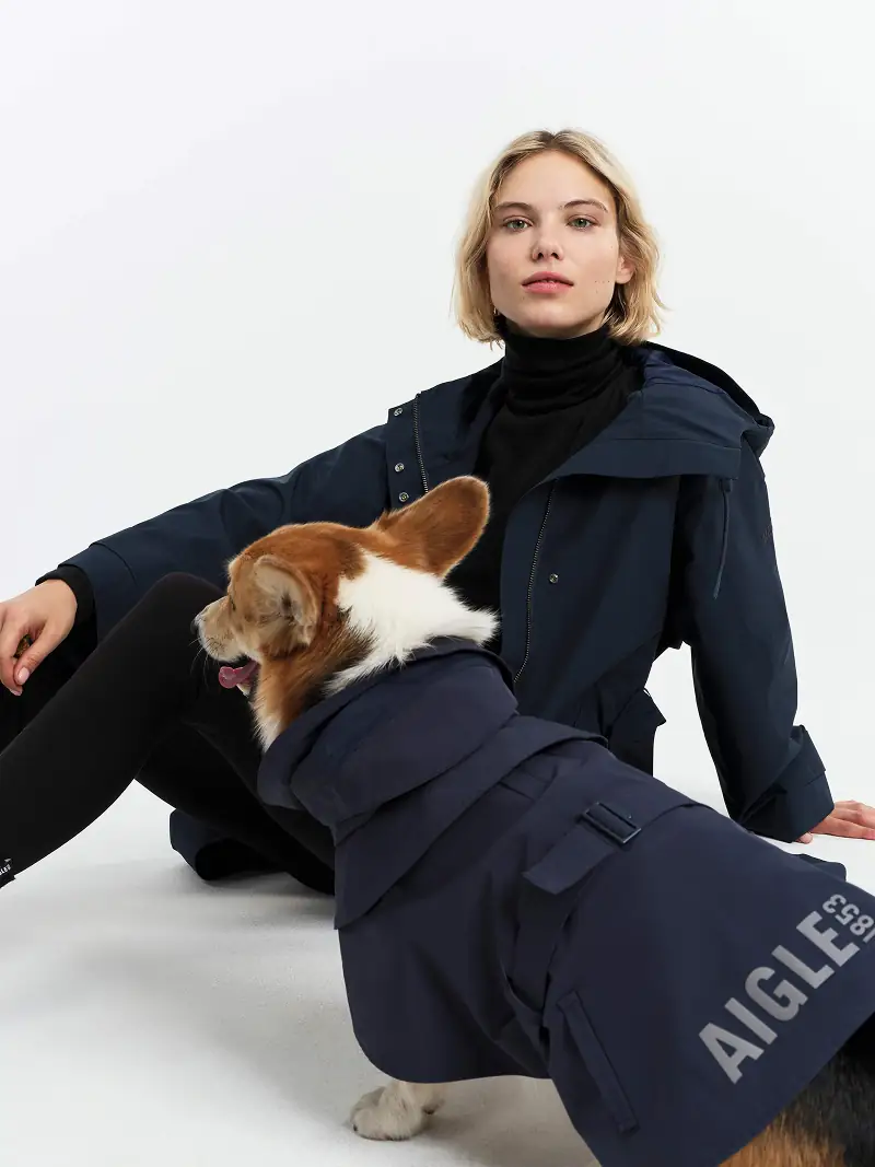 produit dog avec modèle