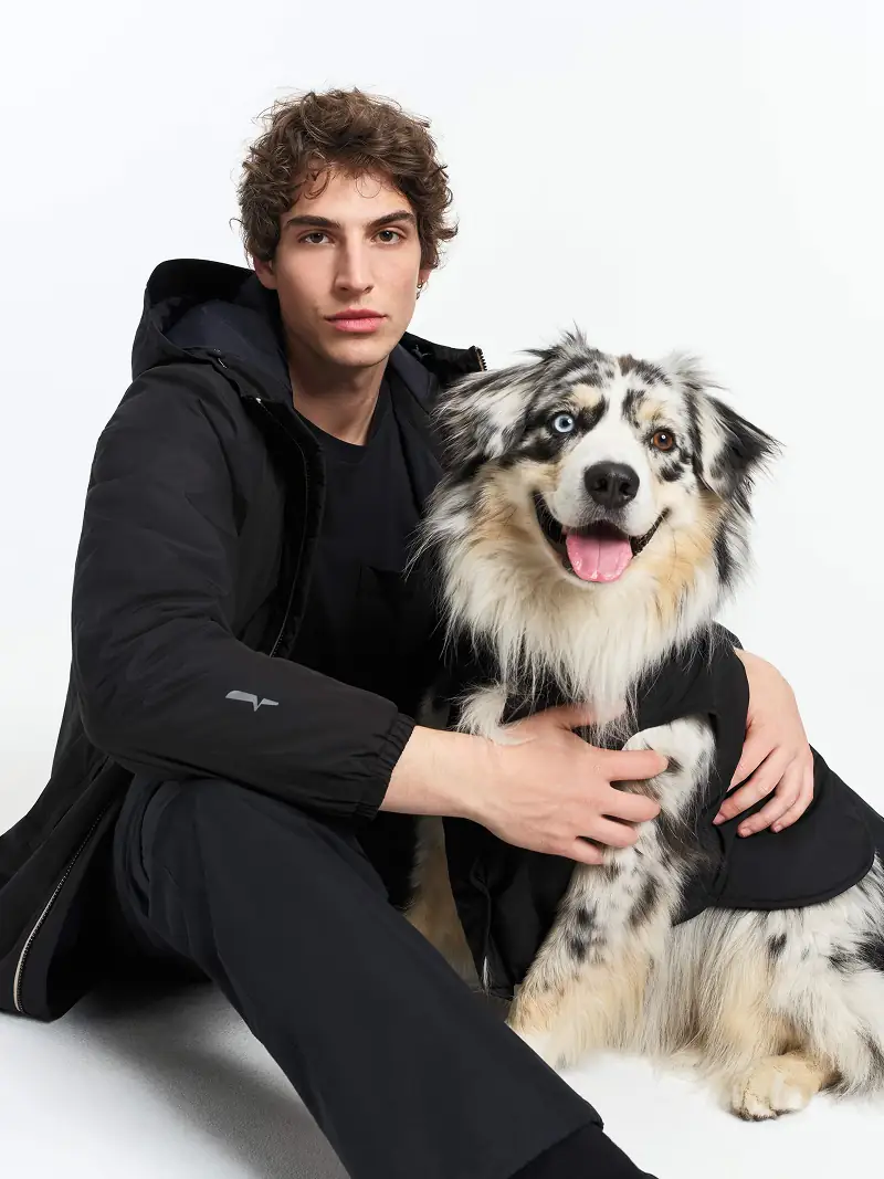 produit dog avec modèle