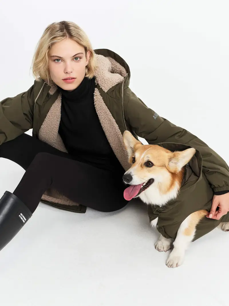 produit dog avec modèle