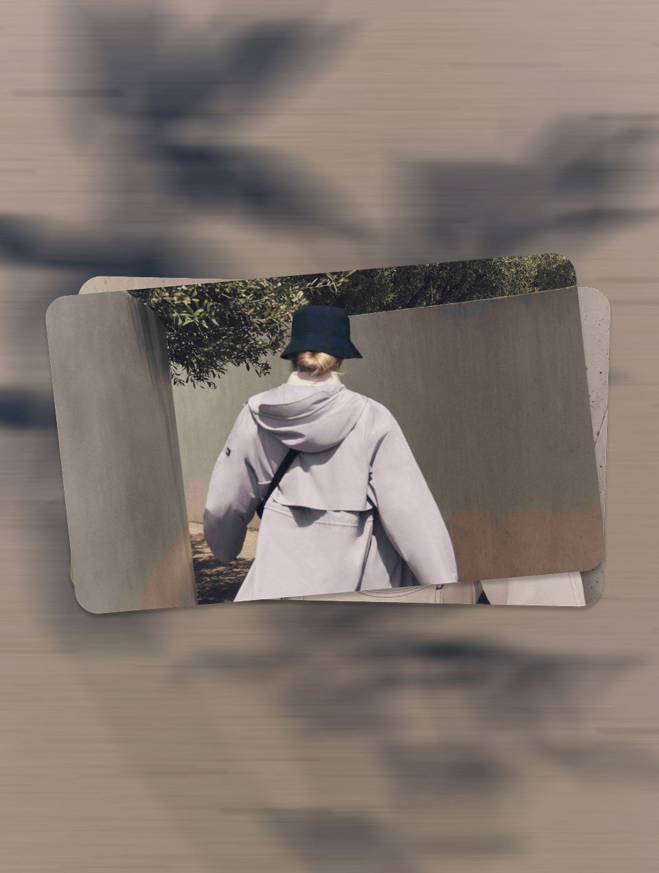 Carte cadeau
