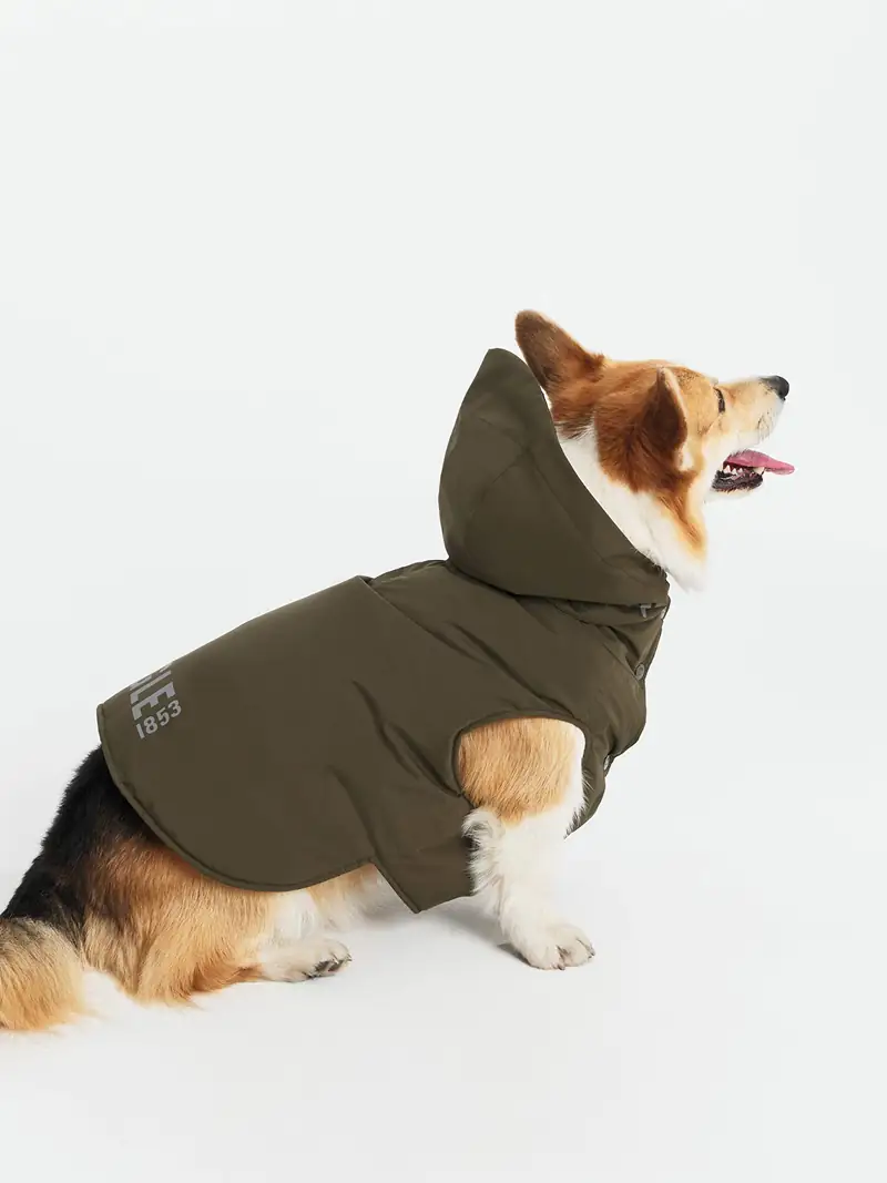 produit dog