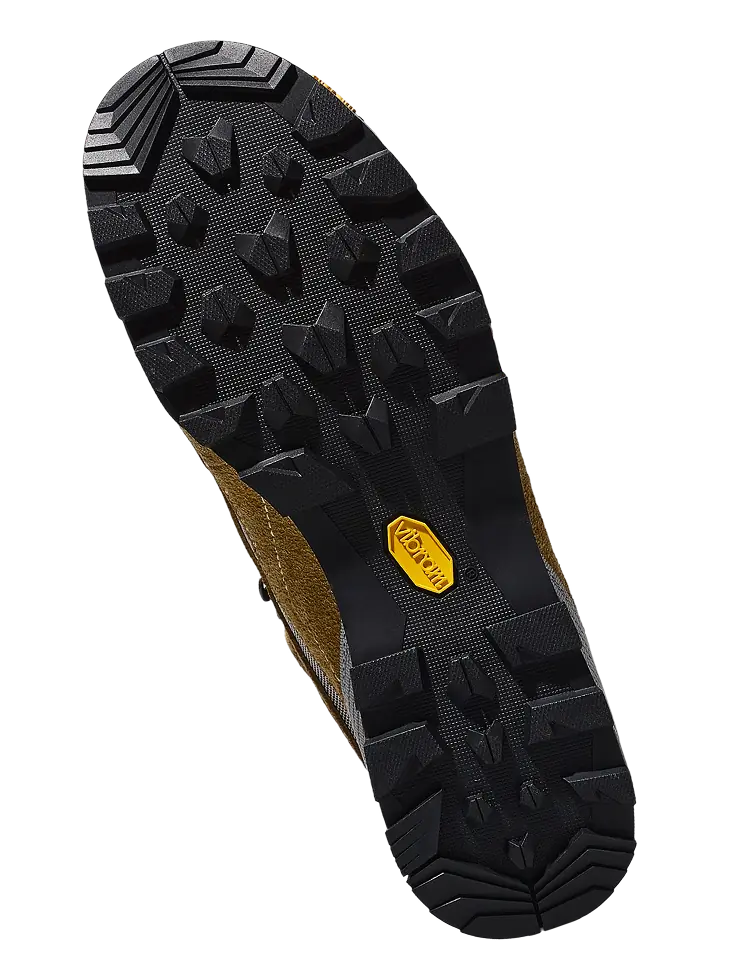 trek shoe.