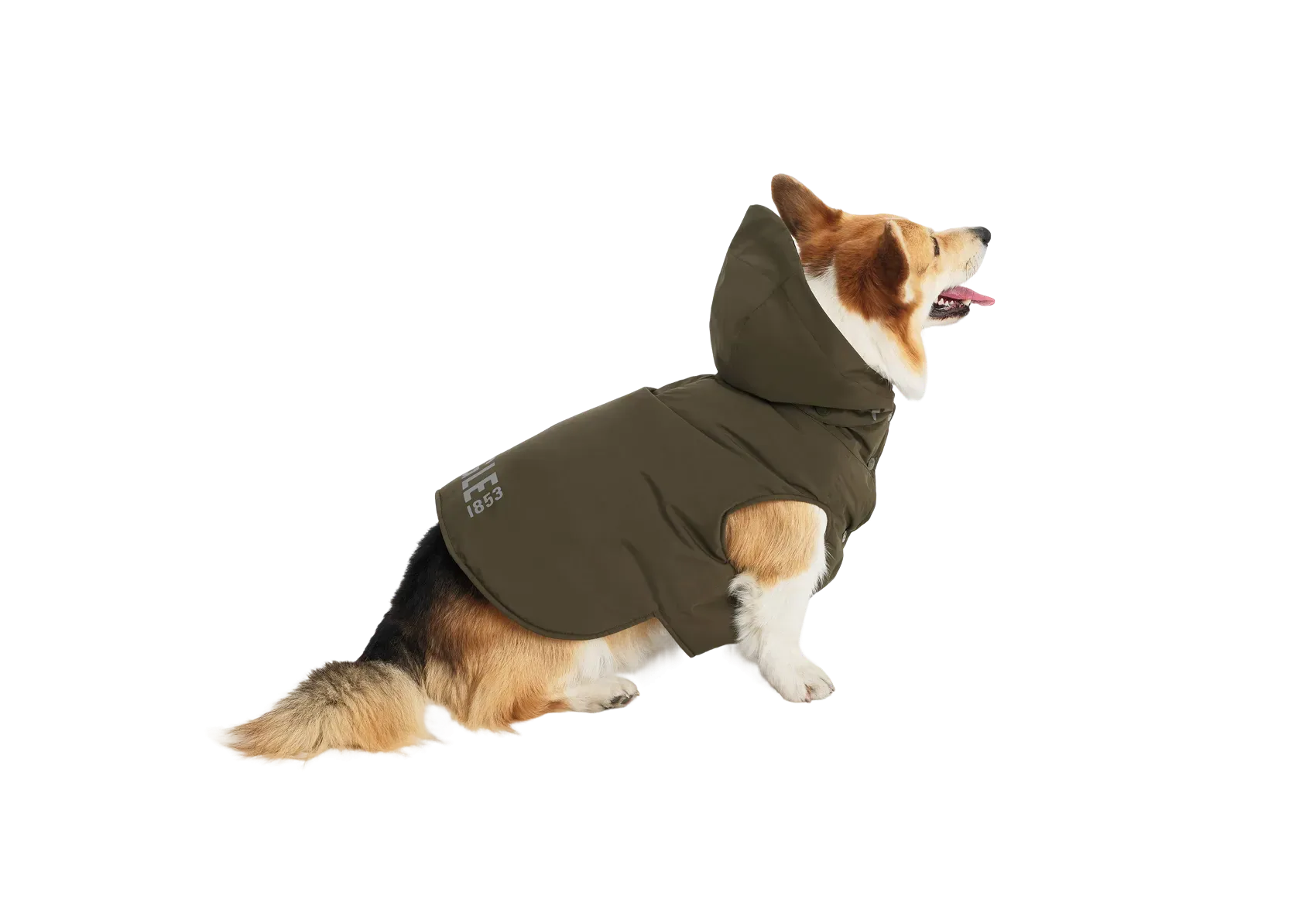 Chien habillé du vêtement rainpack AIGLE DOG