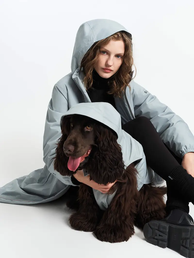 produit dog avec modèle