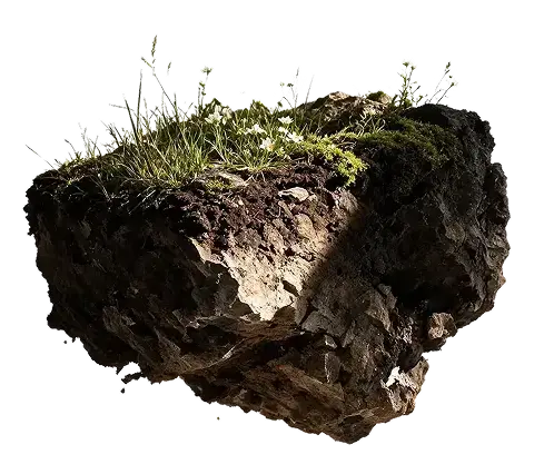 Cosmetic element