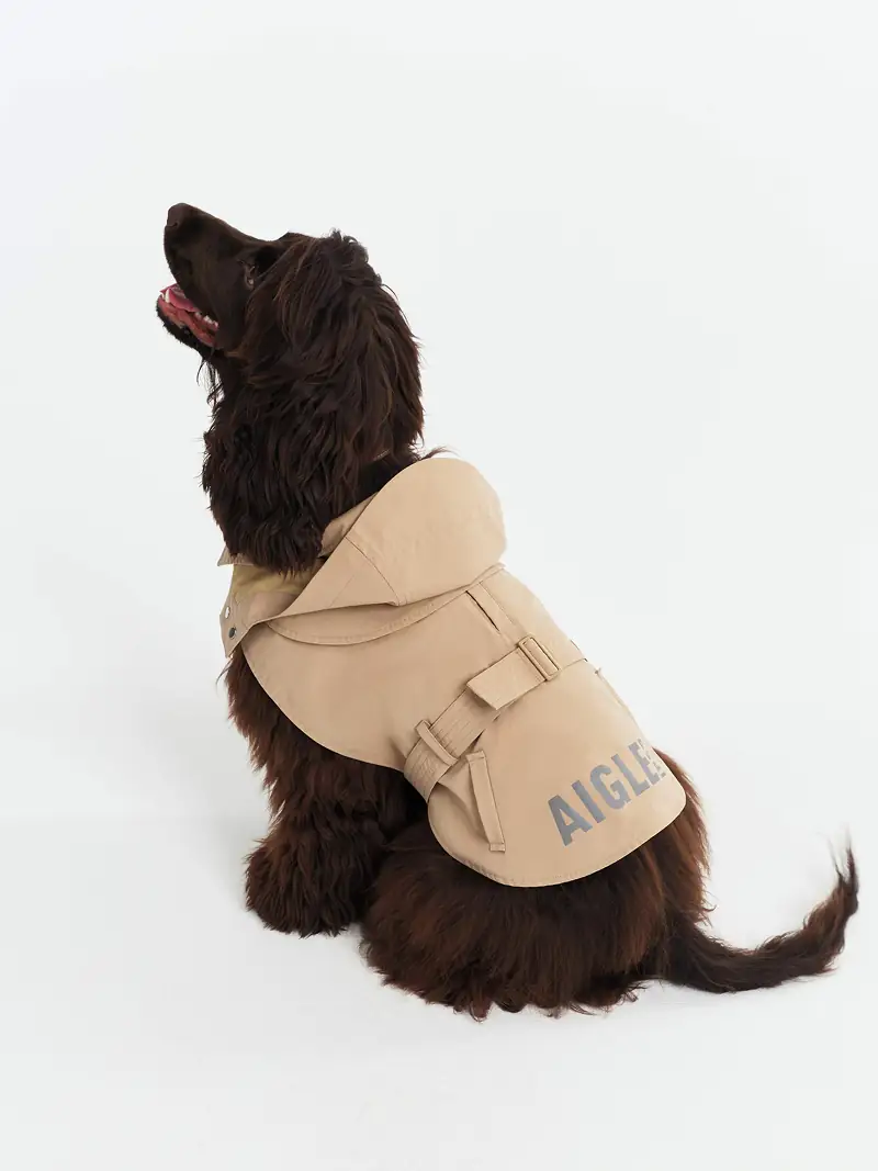 produit dog