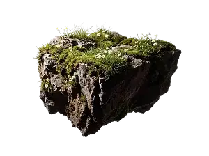 Cosmetic element